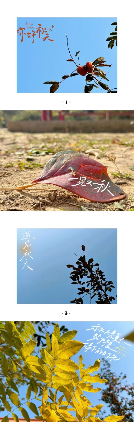 保理之秋，邂逅美好！