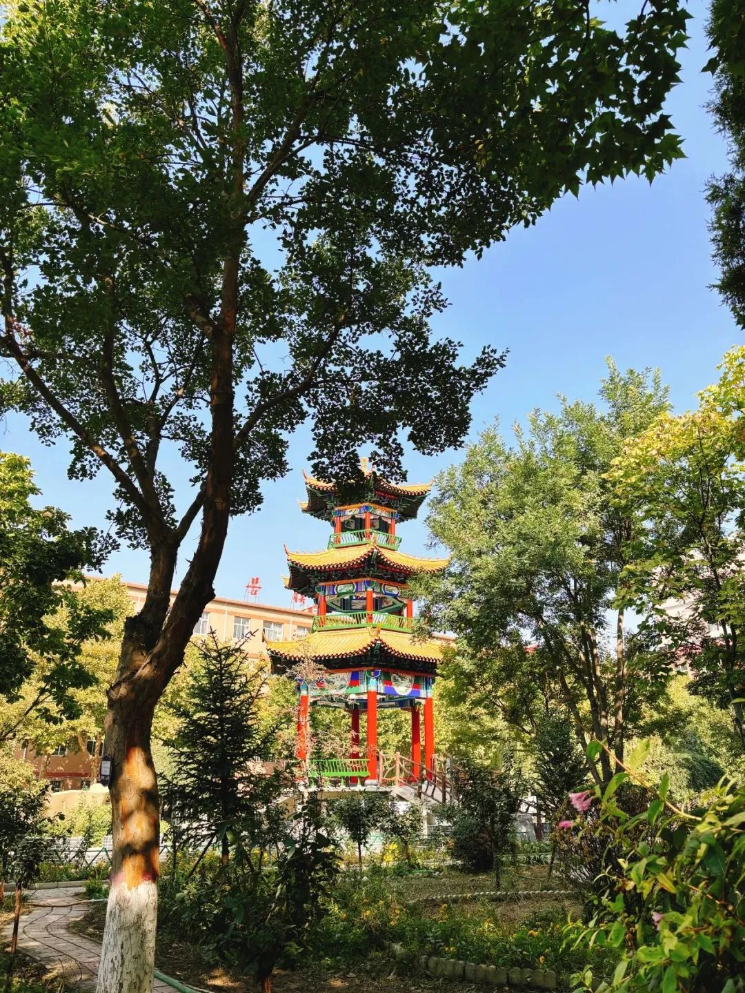 保理之秋，邂逅美好！
