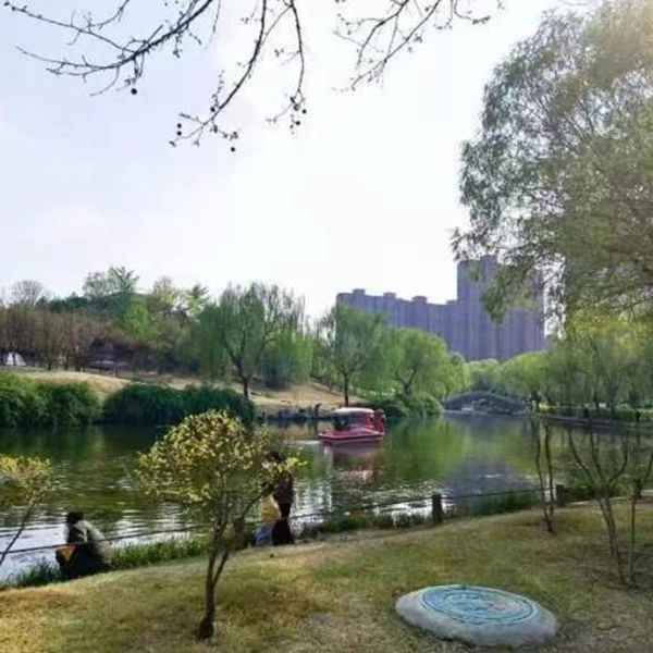 春日旅行攻略|管理學院|看這里，一起暢行保定