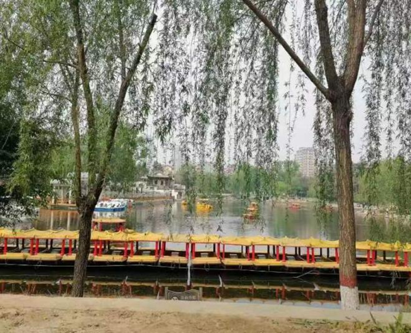 春日旅行攻略|管理學院|看這里，一起暢行保定