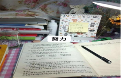 踏上研途，風雨兼程——高子怡