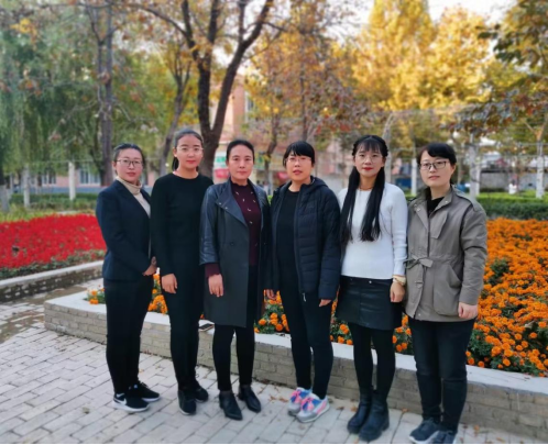 河北省優(yōu)秀教學團隊簡介