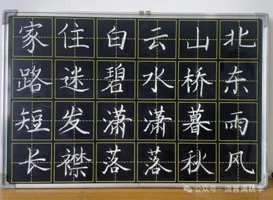 [教育·教學(xué)]妙筆下寫世界，板書上丹心情