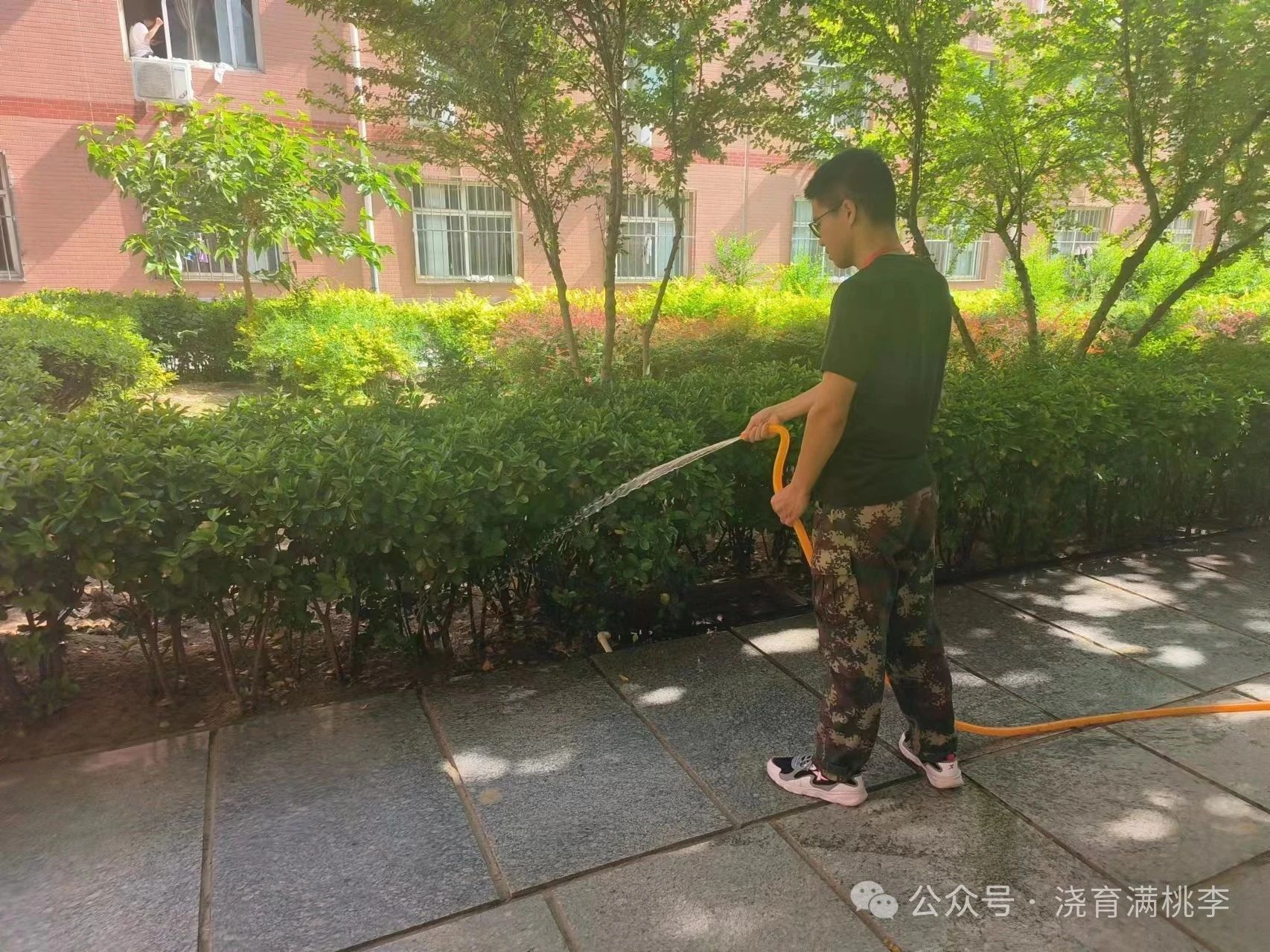 勞動(dòng)踐于行，美德鑄于心