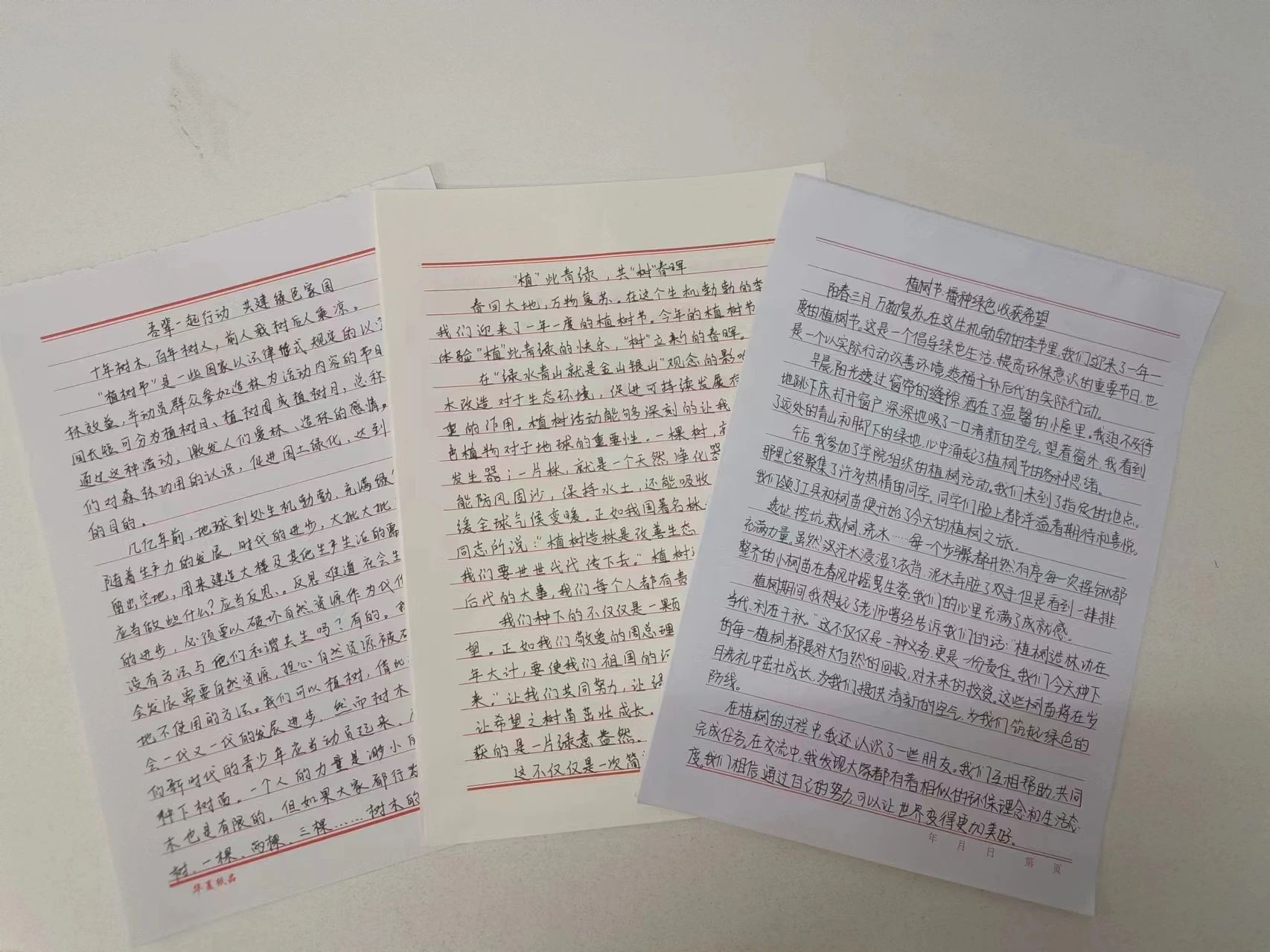 “‘植’此青綠，教樹人心，‘育’汝于成”植樹節(jié)活動(dòng)圓滿結(jié)束!