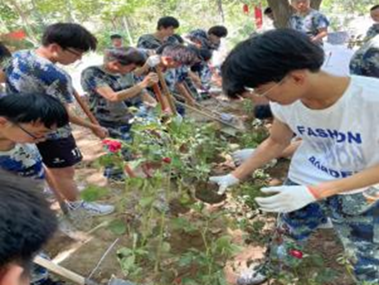 開展種植活動 提高勞動技能