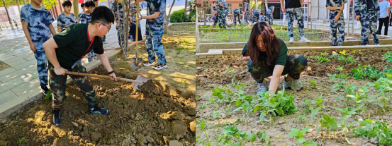 開展種植活動 提高勞動技能