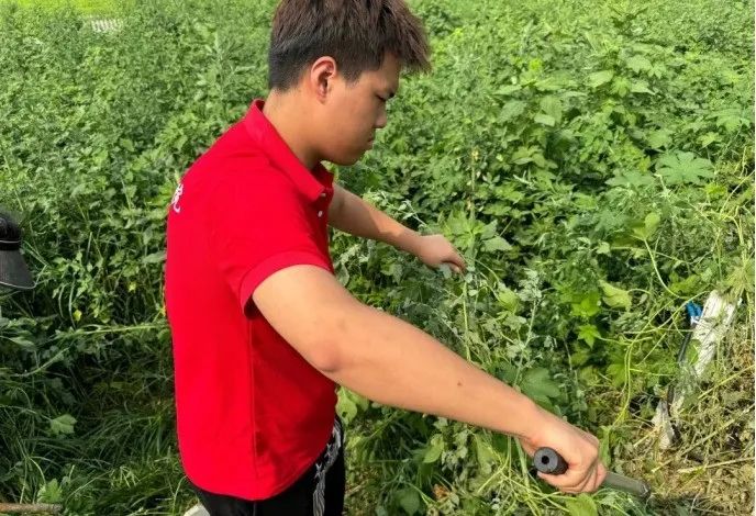 社會(huì)實(shí)踐(十六)勇?lián)鷷r(shí)代使命,助力興村振興——保定理工學(xué)院經(jīng)濟(jì)學(xué)院“三下鄉(xiāng)”社會(huì)實(shí)踐