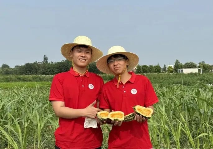 社會(huì)實(shí)踐(十六)勇?lián)鷷r(shí)代使命,助力興村振興——保定理工學(xué)院經(jīng)濟(jì)學(xué)院“三下鄉(xiāng)”社會(huì)實(shí)踐