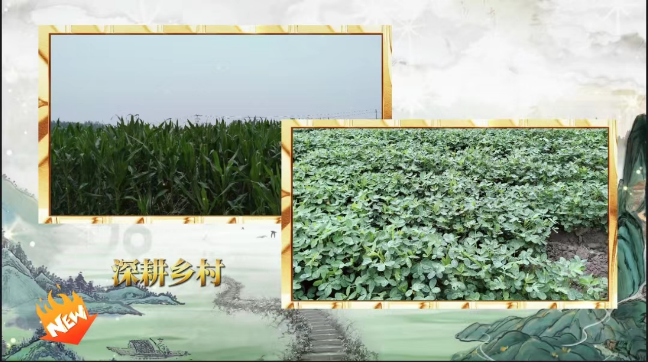 社會(huì)實(shí)踐(八)|助力鄉(xiāng)村振興,綻放青春風(fēng)采——保定理工學(xué)院教育學(xué)院暑期“三下鄉(xiāng)”實(shí)踐活動(dòng)