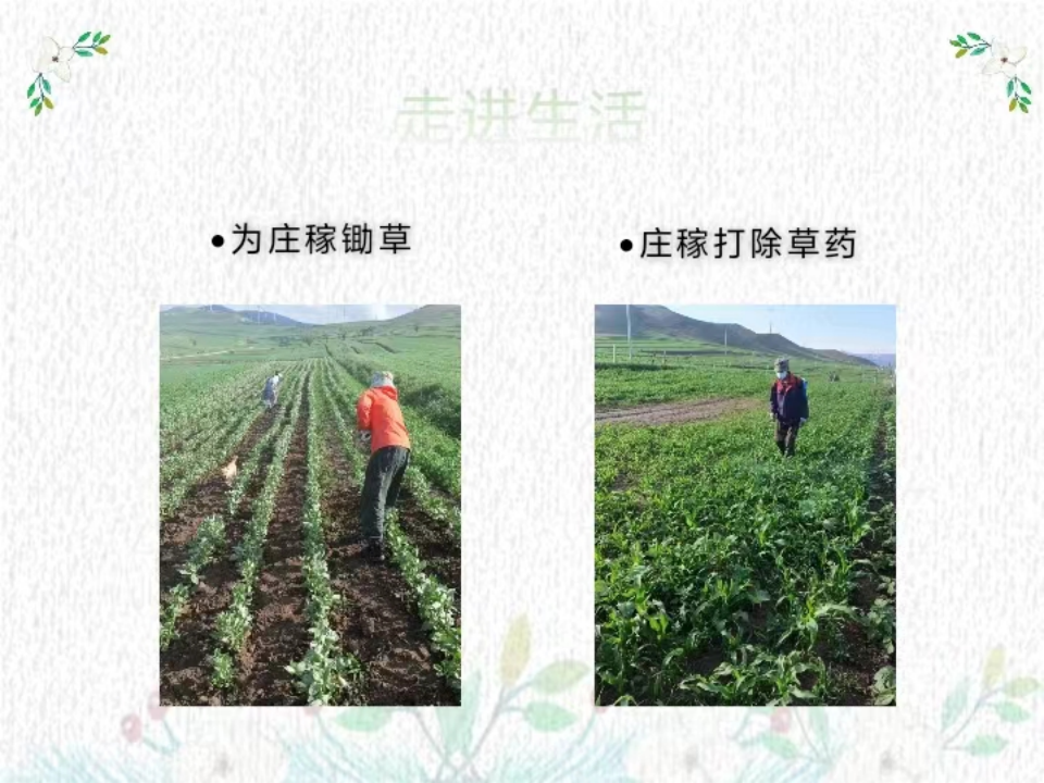 社會(huì)實(shí)踐(八)|助力鄉(xiāng)村振興,綻放青春風(fēng)采——保定理工學(xué)院教育學(xué)院暑期“三下鄉(xiāng)”實(shí)踐活動(dòng)