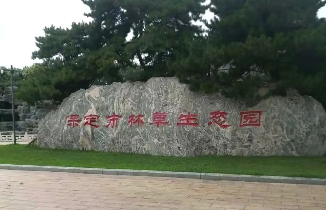 在太行博物館,實踐團(tuán)的成員們參觀了展館陳列的歷史文物,結(jié)合所學(xué)知識講解了歷史故事。同時,親身感受了文物道具的歷史溫度和厚重感,激發(fā)了團(tuán)隊成員們的興趣和愛國熱情。
