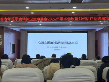 集團(tuán)心理健康教育中心教師參加河北省 精神衛(wèi)生專委會2024年學(xué)術(shù)會議 暨創(chuàng)傷治療新進(jìn)展培訓(xùn)班