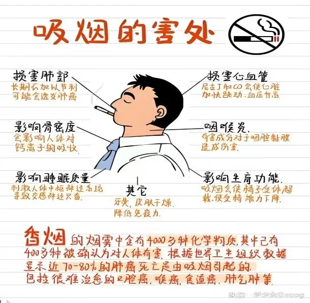 創(chuàng)建無煙校園，共享健康藍(lán)天