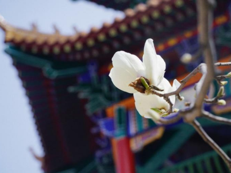 光影交織 逐夢(mèng)影像 基礎(chǔ)攝影綜合實(shí)驗(yàn)項(xiàng)目順利開展