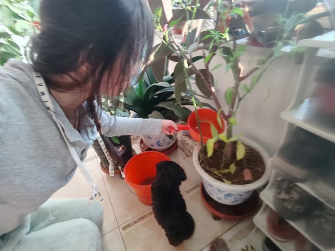 寸草春暉，情暖桑榆（七）