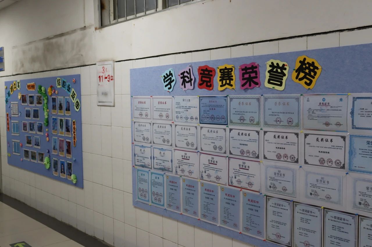 知識(shí)殿堂啟智慧，文化長(zhǎng)墻育德才