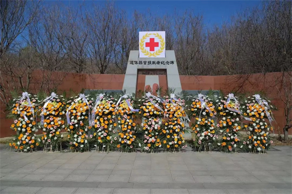 “禮敬捐獻?延續(xù)大愛”經(jīng)濟學(xué)院組織師生參加遺體器官捐獻緬懷紀念活動