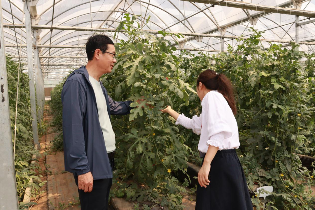 河北水潤佳禾農(nóng)業(yè)集團(tuán)成功舉行掛牌儀式