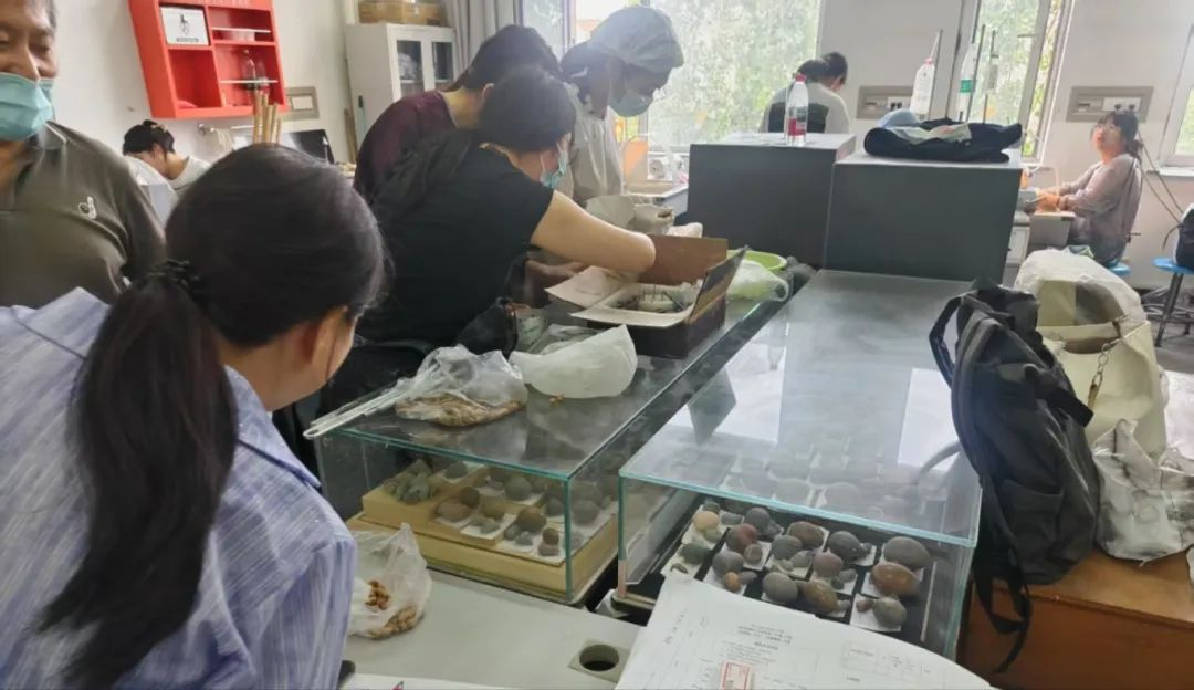 深化校際合作 賦能專業(yè)建設(shè)——我院赴天津商業(yè)大學(xué)寶石及材料工藝學(xué)專業(yè)調(diào)研