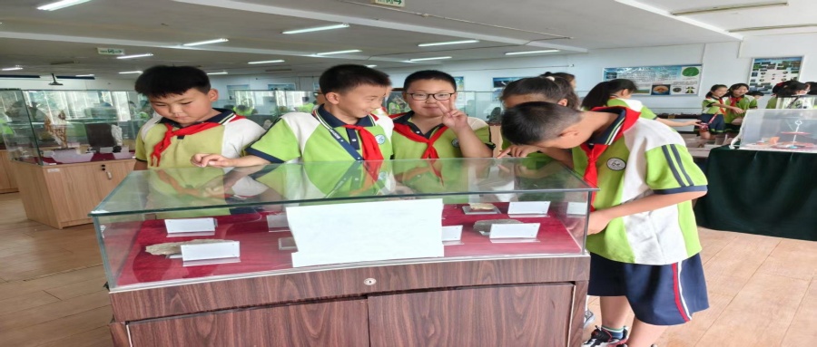 保定市蓮池區(qū)西馬池小學(xué)200名學(xué)生走進(jìn)我校地質(zhì)館開展新時(shí)代文明實(shí)踐活動(dòng)