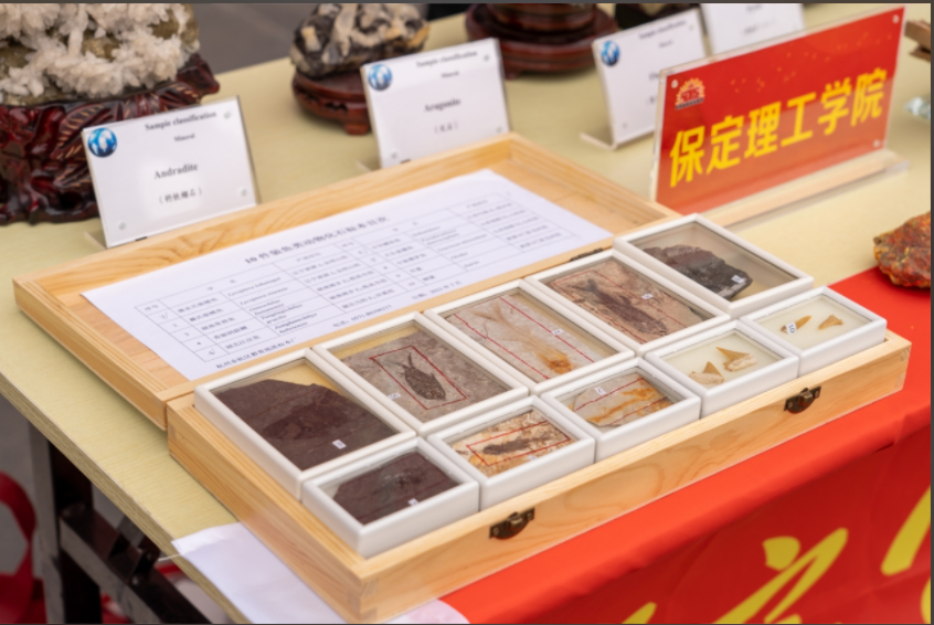 保定理工學院資源與工程技術學院地質館成功舉辦主題宣講活動