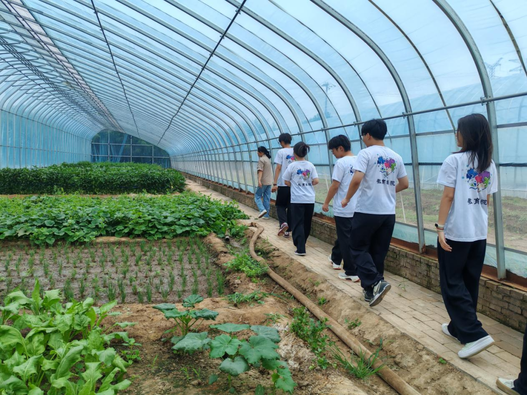 暑期社會(huì)活動(dòng)實(shí)踐（二）：保定市滿城漕河沐陽農(nóng)業(yè)生態(tài)園授牌活動(dòng)