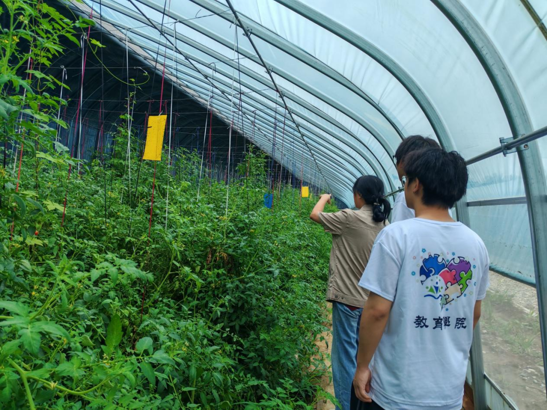 暑期社會(huì)活動(dòng)實(shí)踐（二）：保定市滿城漕河沐陽農(nóng)業(yè)生態(tài)園授牌活動(dòng)