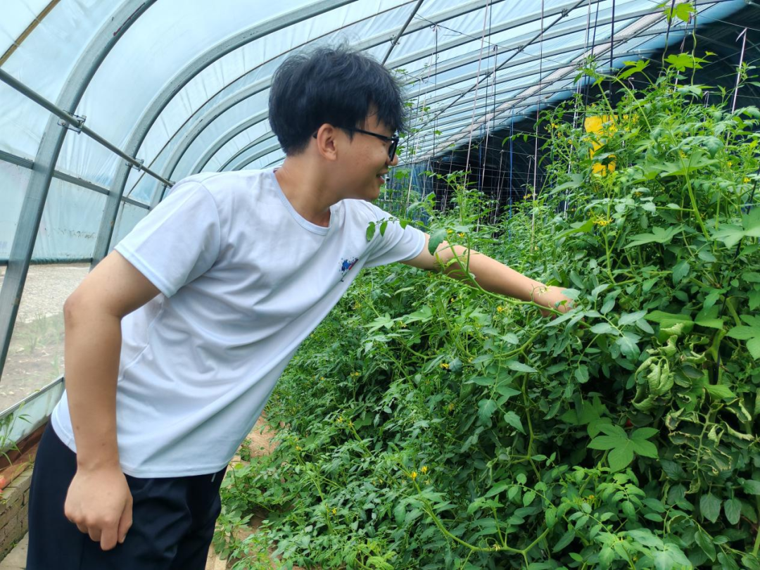 暑期社會(huì)活動(dòng)實(shí)踐（二）：保定市滿城漕河沐陽農(nóng)業(yè)生態(tài)園授牌活動(dòng)