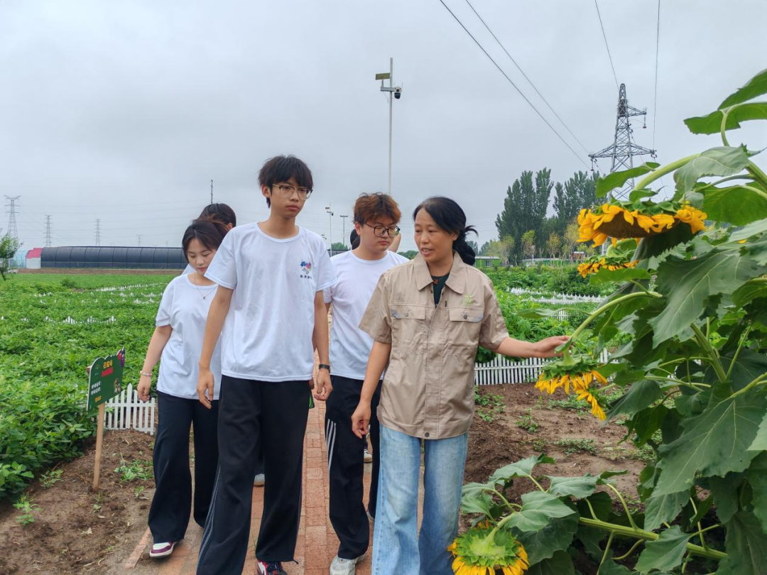 暑期社會(huì)活動(dòng)實(shí)踐（二）：保定市滿城漕河沐陽農(nóng)業(yè)生態(tài)園授牌活動(dòng)