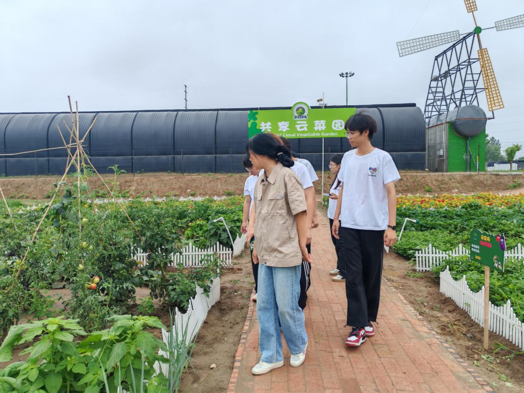 暑期社會(huì)活動(dòng)實(shí)踐（二）：保定市滿城漕河沐陽農(nóng)業(yè)生態(tài)園授牌活動(dòng)