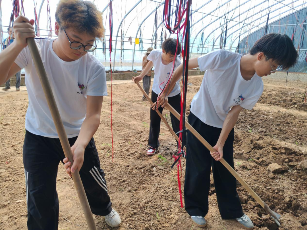 暑期社會(huì)活動(dòng)實(shí)踐（二）：保定市滿城漕河沐陽農(nóng)業(yè)生態(tài)園授牌活動(dòng)