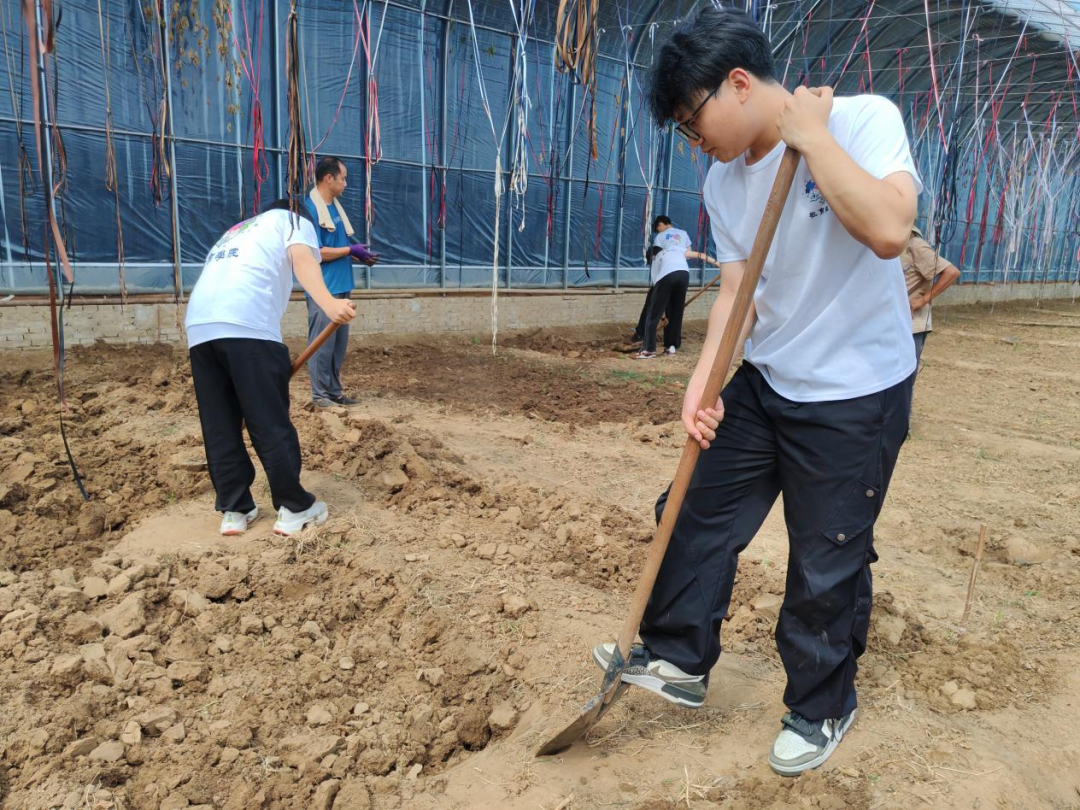暑期社會(huì)活動(dòng)實(shí)踐（二）：保定市滿城漕河沐陽農(nóng)業(yè)生態(tài)園授牌活動(dòng)