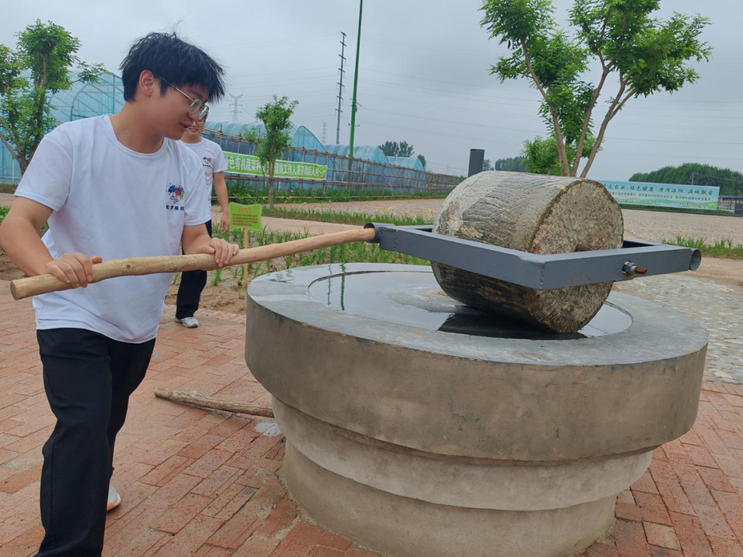 暑期社會(huì)活動(dòng)實(shí)踐（二）：保定市滿城漕河沐陽農(nóng)業(yè)生態(tài)園授牌活動(dòng)